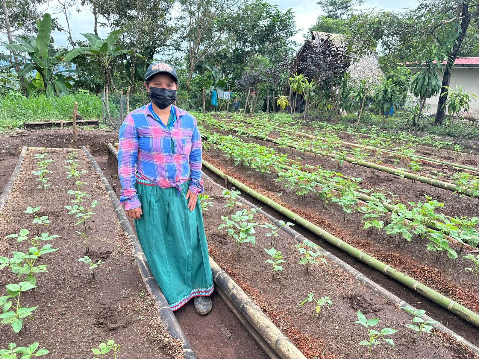 Second raised garden Ngabe project Chorcha