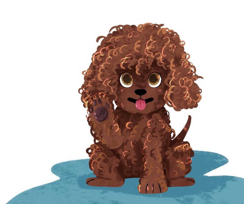 puppy